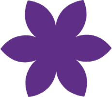 Cinnamon Hotels & Resorts logo
